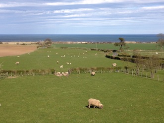 High Buston Hall, the view towards Alnmouth